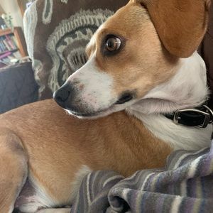 Meet your Posher, Haley